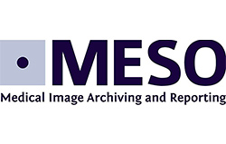 MESO-Gruppe Logo