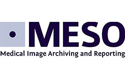 Meso Logo